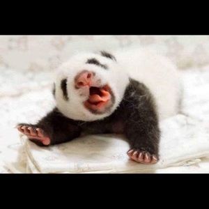 Meet your Posher, Sean